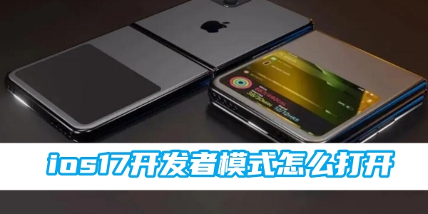 ios17开发者模式怎么打开