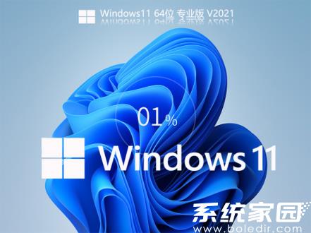 windows11正式版安装教程 正版win11系统下载安装教程