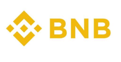 BNB不足以支付Gas费用是什么意思 BNB不足以支付Gas怎么办