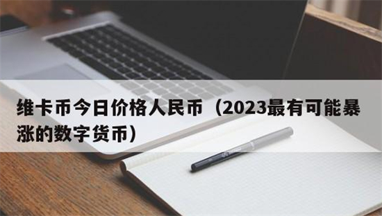 维卡币2023年多少钱一枚 维卡币2023年价格介绍