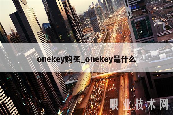 onekey购买_onekey是什么