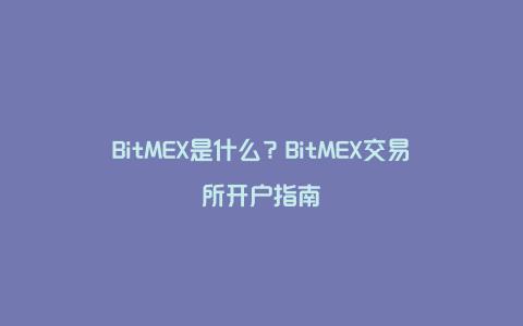 BitMEX是什么？BitMEX交易所开户指南