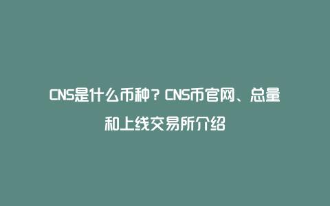 CNS是什么币种？CNS币官网、总量和上线交易所介绍