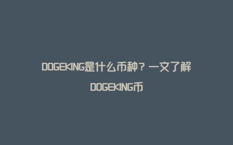 DOGEKING是什么币种？一文了解DOGEKING币