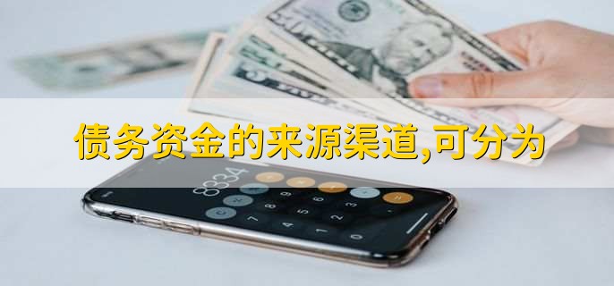 债务资金的来源渠道，可分为什么