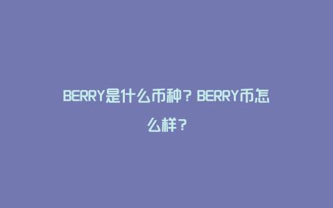 BERRY是什么币种？BERRY币怎么样？