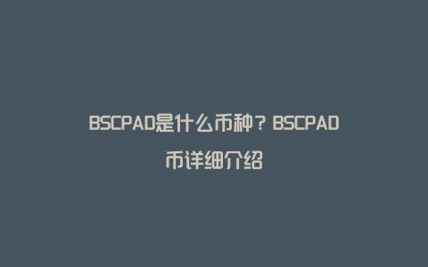 BSCPAD是什么币种？BSCPAD币详细介绍