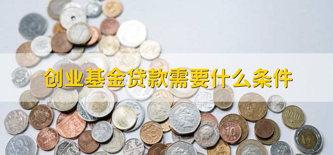 创业基金贷款需要什么条件，有以下七点条件