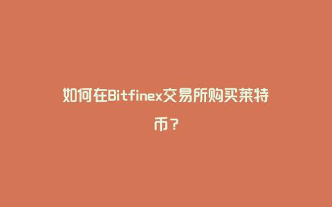 如何在Bitfinex交易所购买莱特币？