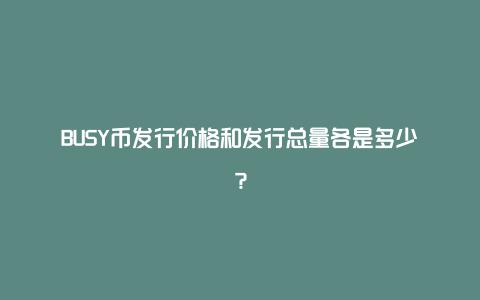 BUSY币发行价格和发行总量各是多少？