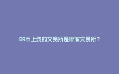 BR币上线的交易所是哪家交易所？